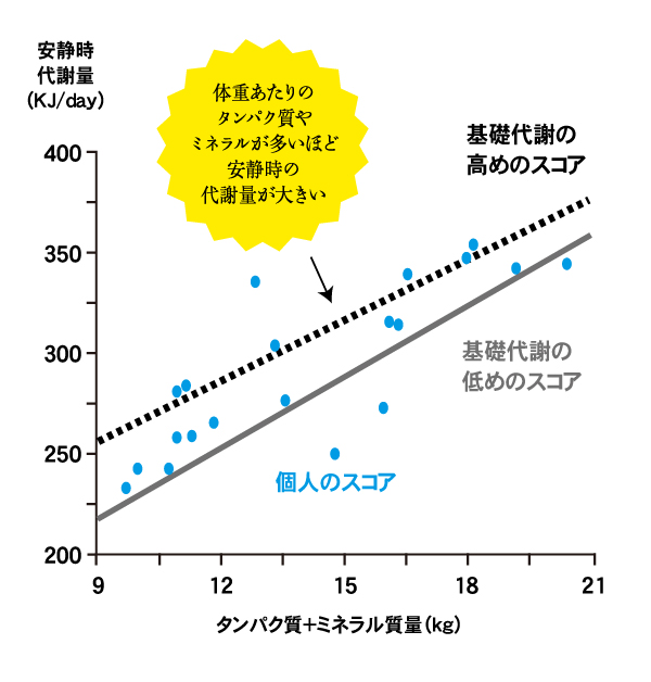 基礎代謝の変化量