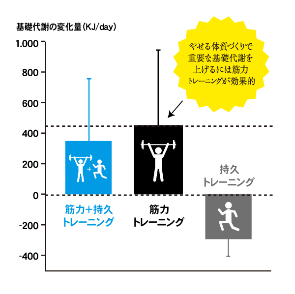 トレーニング別の基礎代謝の上下